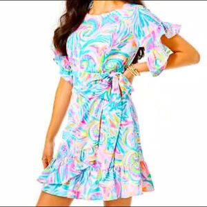 New Lilly Pulitzer Darlah Dress in Multi Carnivale